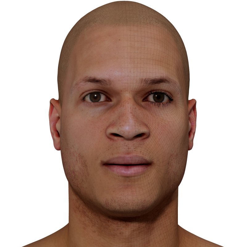 Head Scans